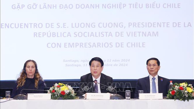 Остаются большие возможности для развития сотрудничества между Вьетнамом и Чили