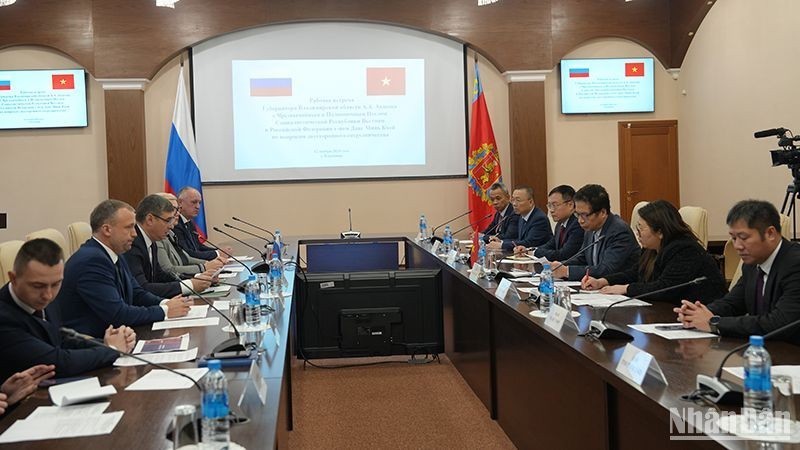 Содействие сотрудничеству между вьетнамскими местностями и Россией