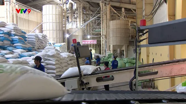 Экспорт риса достигнет почти 5 млрд долларов