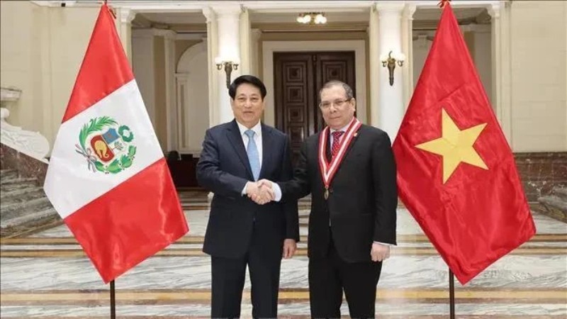 Президент Вьетнама Лыонг Кыонг встретился с Председателем Верховного суда Перу