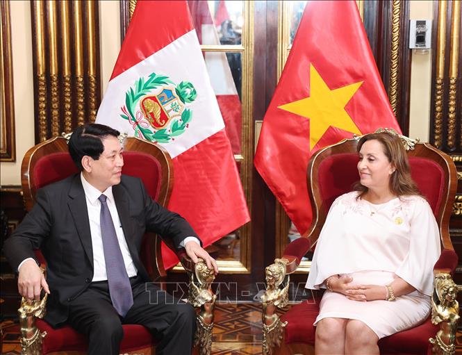 Президент Лыонг Кыонг провёл переговоры с президентом Перу Диной Болуарте