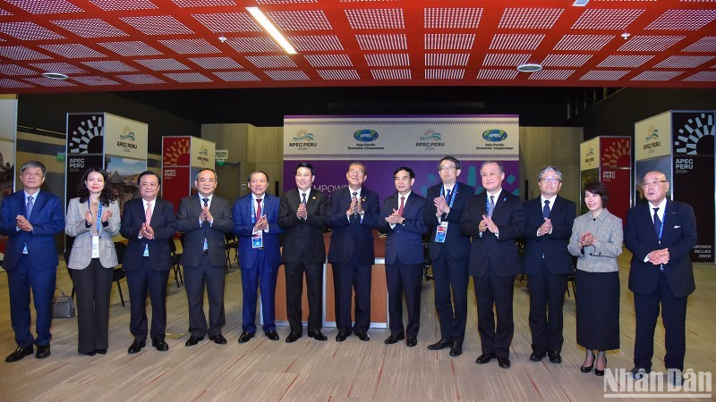 Президент Вьетнама встретился с Премьер-министром Японии