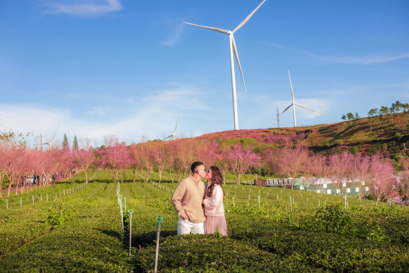 Далат входит в Топ самых дешевых туристических направлений Азии