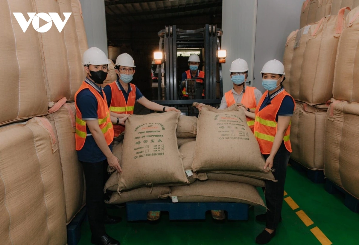 Сельскохозяйственная продукция Даклака на пути к завоеванию международных рынков