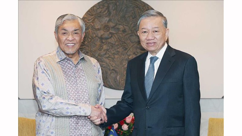 Генеральный секретарь ЦК КПВ То Лам принял Вице-премьера, Министра развития деревни, Председателя партии ОМНО