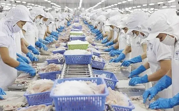 Растет экспорт морепродуктов в конце года