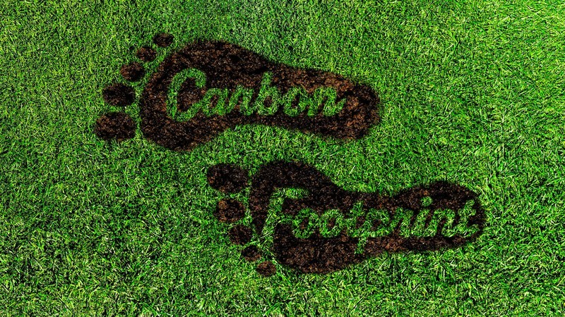 Снижение «углеродного следа» в туристической деятельности