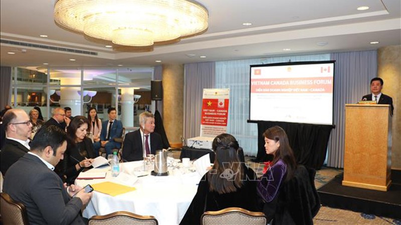 Укрепление связей между Вьетнамом и Канадой в сфере производства и энергетики