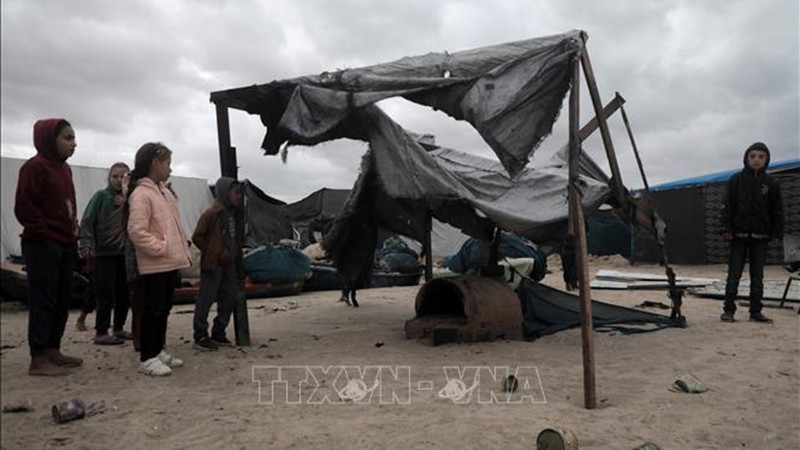 Вьетнам поддерживает справедливое дело Палестины