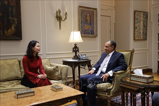 Продвижение всеобъемлющего сотрудничества между Вьетнамом и Египтом во всех областях