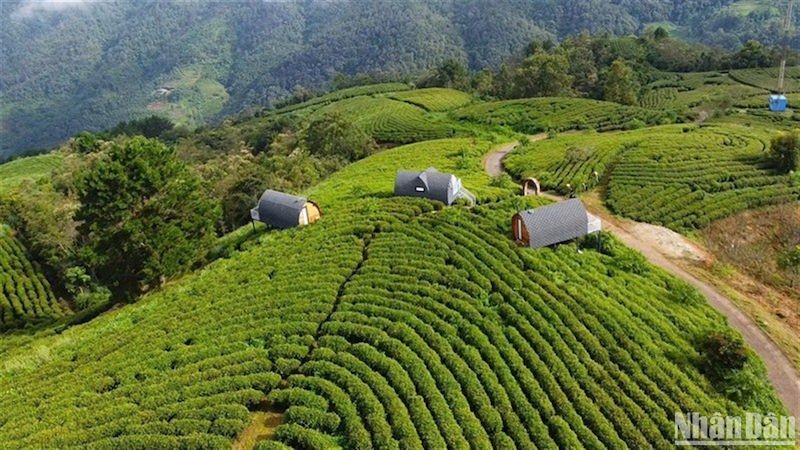 Создание туристического бренда северо-восточного региона