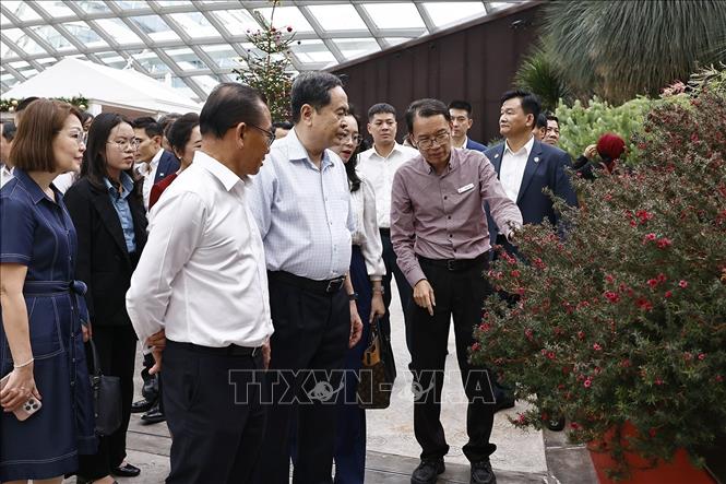 Председатель Нацсобрания Чан Тхань Ман с супругой посетил Сады у залива в Сингапуре