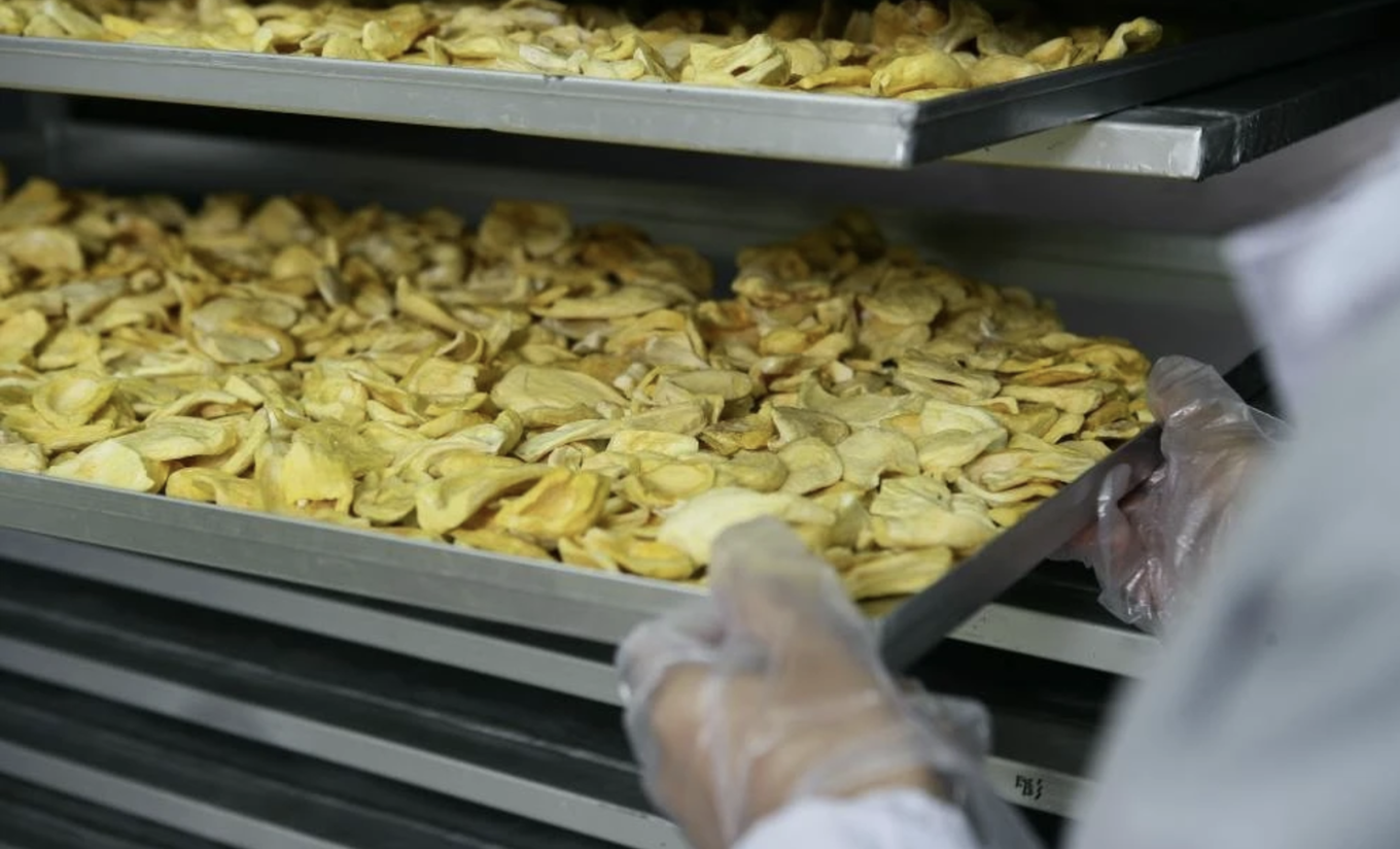 Вьетнам получил почти 1,1 миллиарда долларов на экспорте переработанных овощей и фруктов