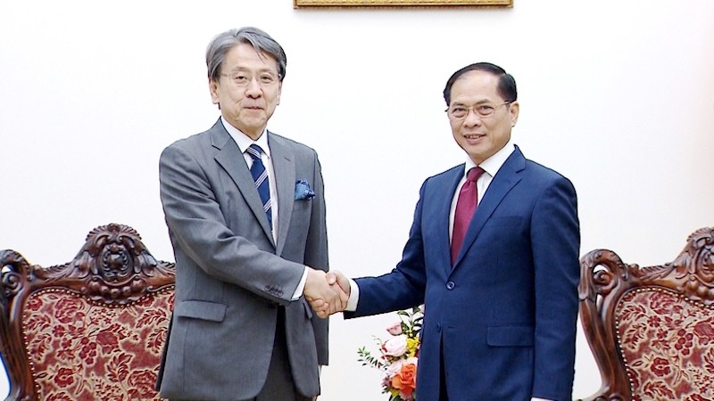 Вьетнам и Япония сотрудничают в содействии энергетическому переходу