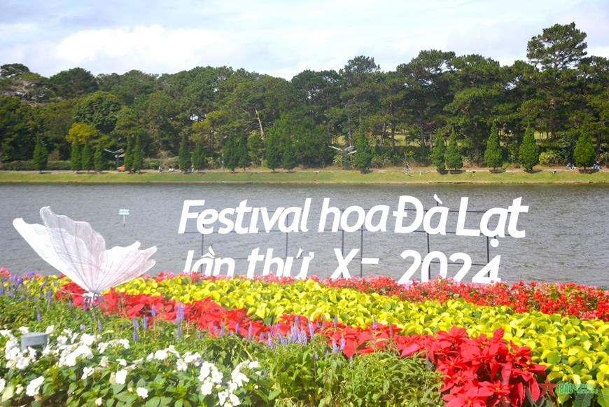 Яркие краски цветов на фестивале цветов в Далате