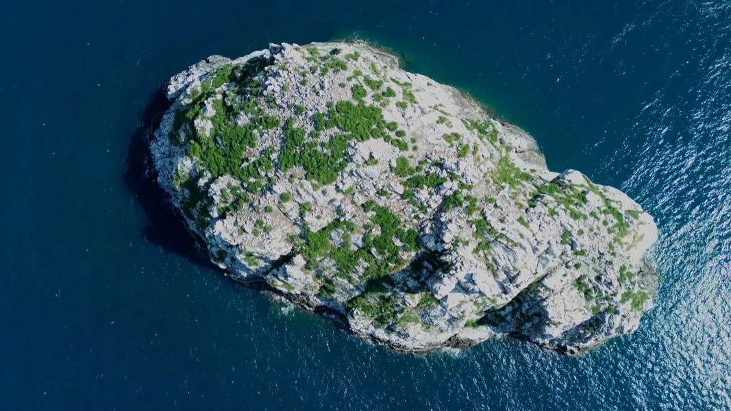 Хончынг признан самым плодородным местом обитания морских птиц