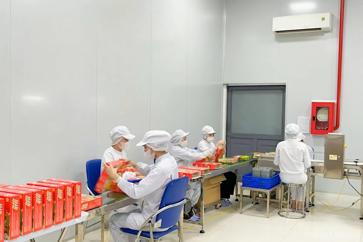 Экспортные предприятия в Дананге ускоряются к концу года