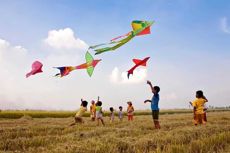 Международный день прав человека Достижения в обеспечении прав человека во Вьетнаме
