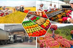 Экспорт сельскохозяйственной, лесной и рыбной продукции превысил годовой показатель за 11 месяцев 2024 г