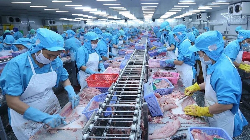 Экономика Вьетнама продемонстрировала устойчивость, несмотря на невзгоды