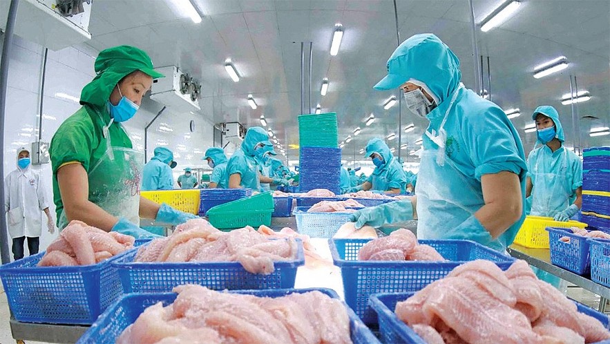 Вьетнам занимает третье место в мире по экспорту морепродуктов