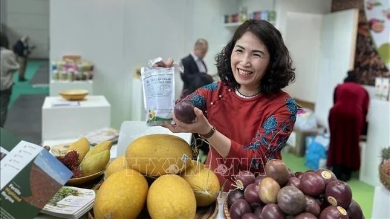 Торговое сотрудничество между Вьетнамом и Италией обещает блестящие перспективы в 2025 году