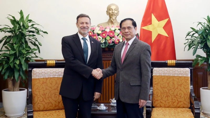 Вице-премьер, Министр иностранных дел Буй Тхань Шон принял Посла Австралии