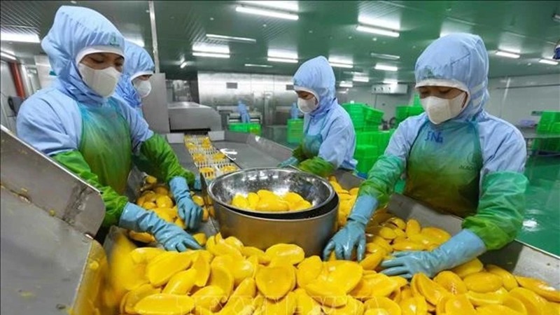 Положительное сальдо торгового баланса сельскохозяйственного сектора достигло почти 18 млрд долларов США в 2024 г