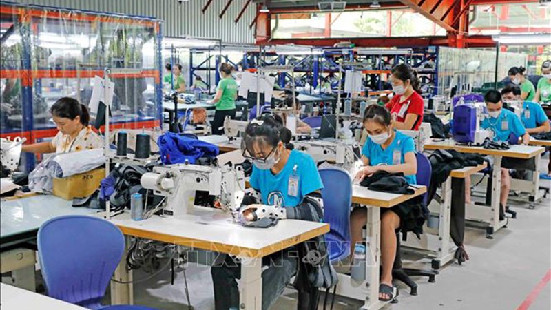 Экономика Вьетнама находится на подъеме позитивного восстановления