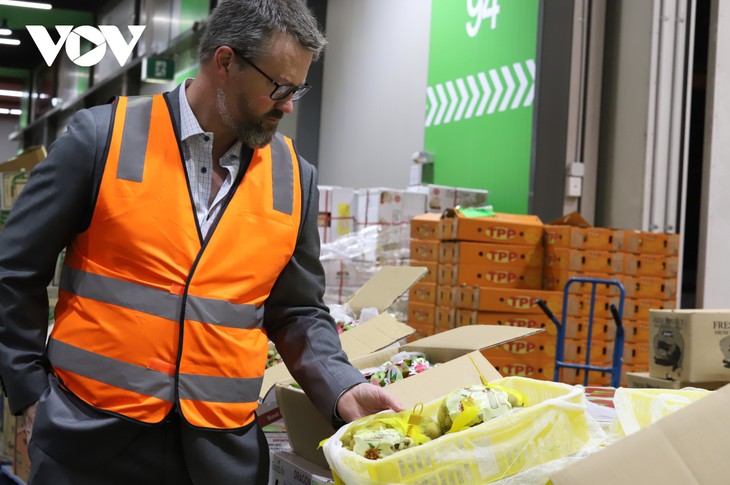 Vietnam promueve la venta del longan fresco en el mercado australiano