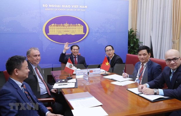Vietnam y Perú efectúan consulta política en línea