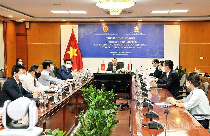 Impulso del intercambio comercial e industrial entre Vietnam y Egipto