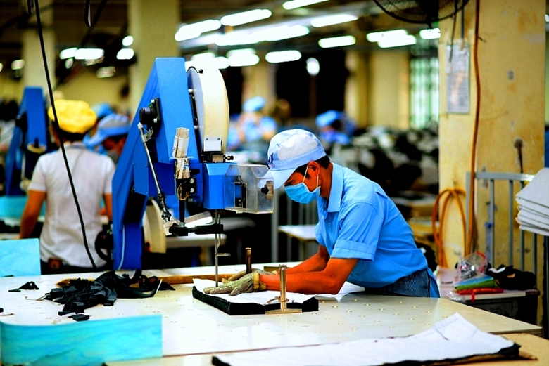 La construcción de la economía nacional y el papel de la economía privada