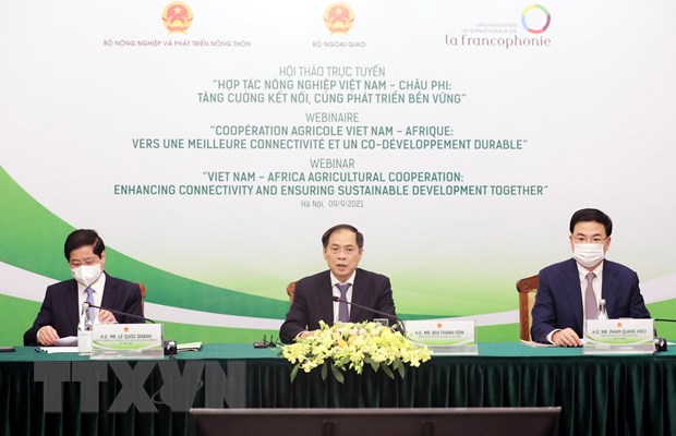 Fortalecimiento de la colaboración agrícola entre Vietnam y los países africanos