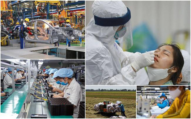 Proyecto para la recuperación económica durante el periodo 2022-2023