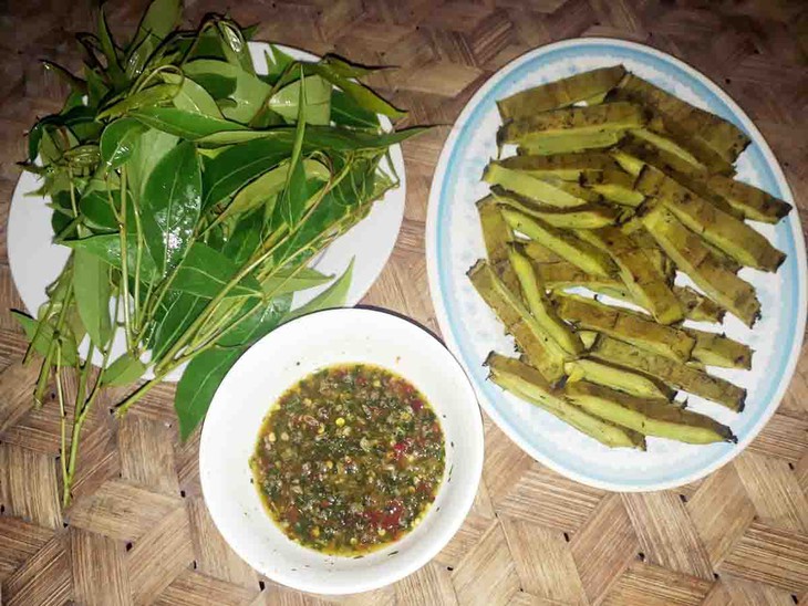 La fruta “núc nác” en la vida de la etnia Thai en el noroeste de Vietnam