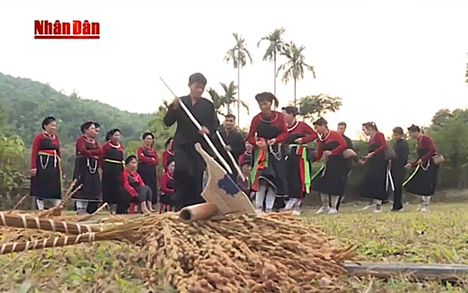 Preservan la cultura tradicional de la etnia Cao Lan
