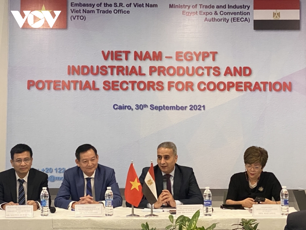 Seminario para afianzar la cooperación bilateral entre Vietnam y Egipto