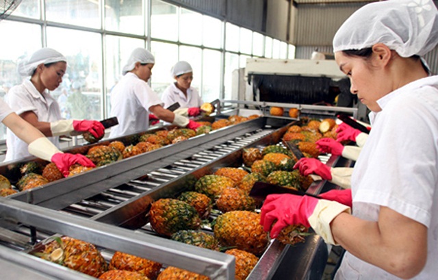 Aumento de las exportaciones de frutas y verduras procesadas al mercado ruso