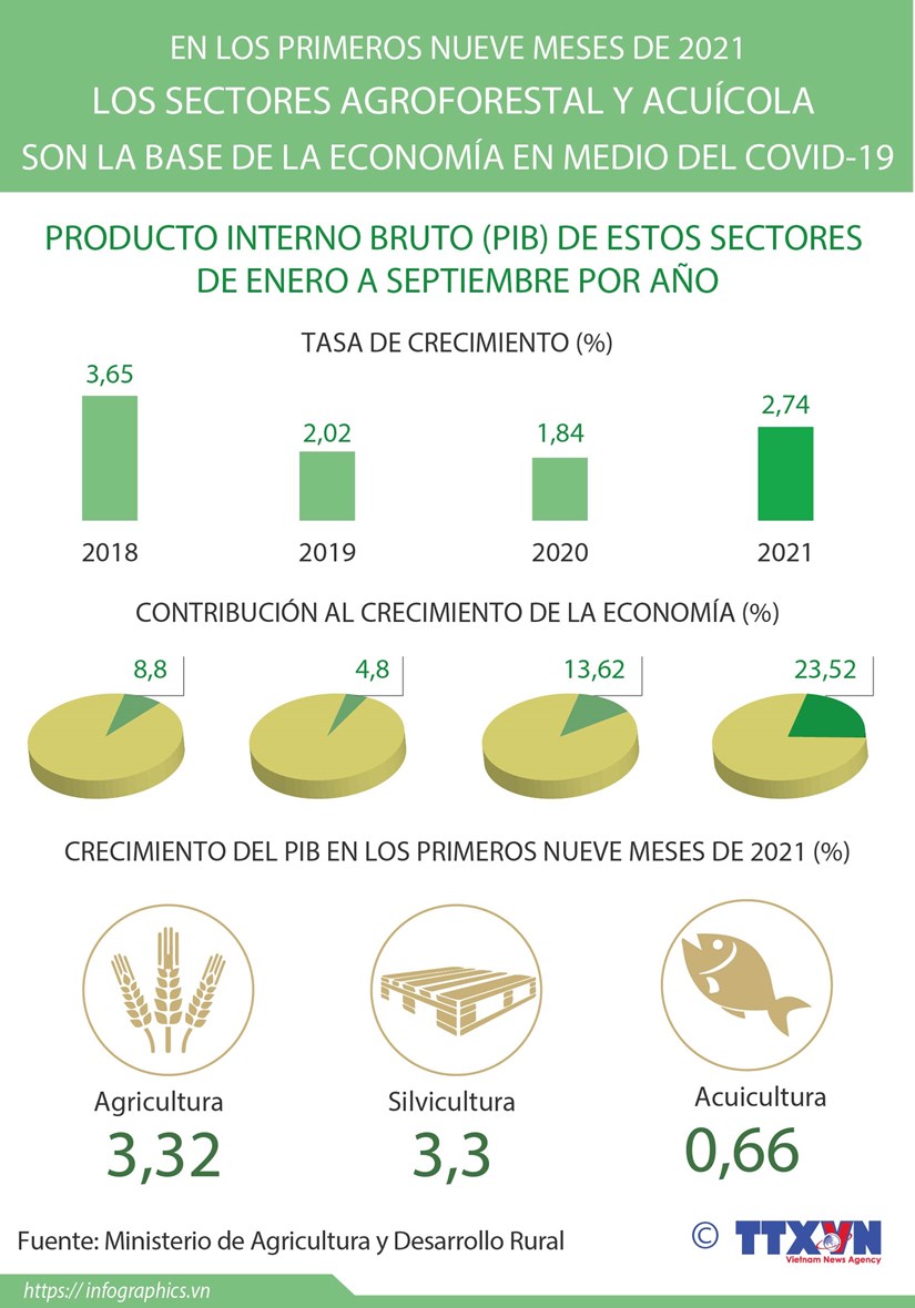 Sectores agroforestal y acuícola de Vietnam registraron crecimiento en los primeros nueve meses de 2021