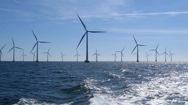 Primer consorcio vietnamita en construir una subestación de energía eólica en el mar