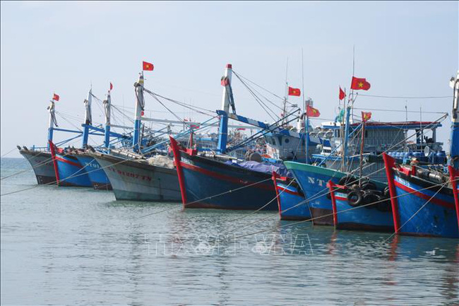 Las localidades costeras continúan luchando contra la pesca ilegal