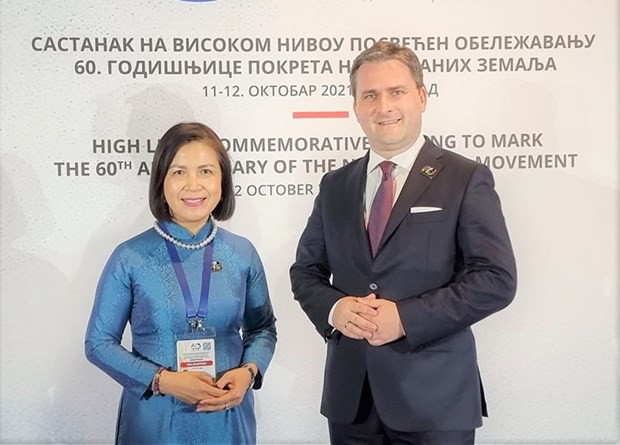 Vietnam Hay que fortalecer la cooperación multilateral en el Movimiento de Países No Alineados