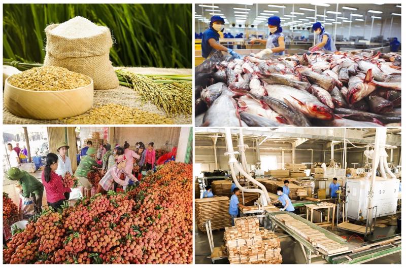 Vietnam ingresa fondo multimillonario por exportaciones agroforestales y pesqueras