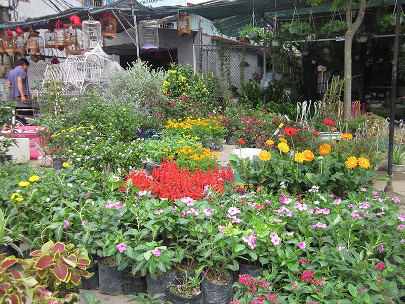 El mercado de Hang, un singular espacio cultural en Hai Phong