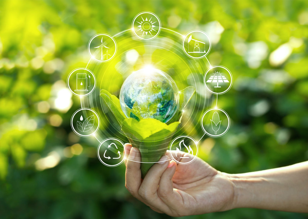 Promover la ampliación de la responsabilidad del fabricante hacia la economía circular