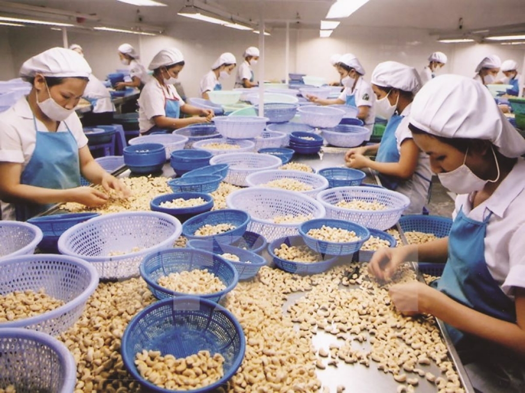 Signos positivos de las exportaciones agrícolas a los mercados europeos y estadounidenses