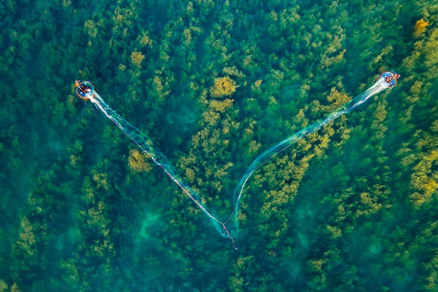 Quang Ngai el bosque de algas de Binh Chau visto desde arriba