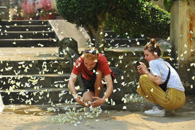 Vietnam gana múltiples premios en los World Tourism Awards 2021