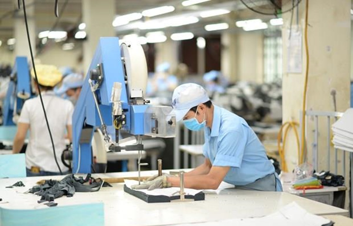 Recuperación del mercado laboral durante la pandemia soluciones urgentes